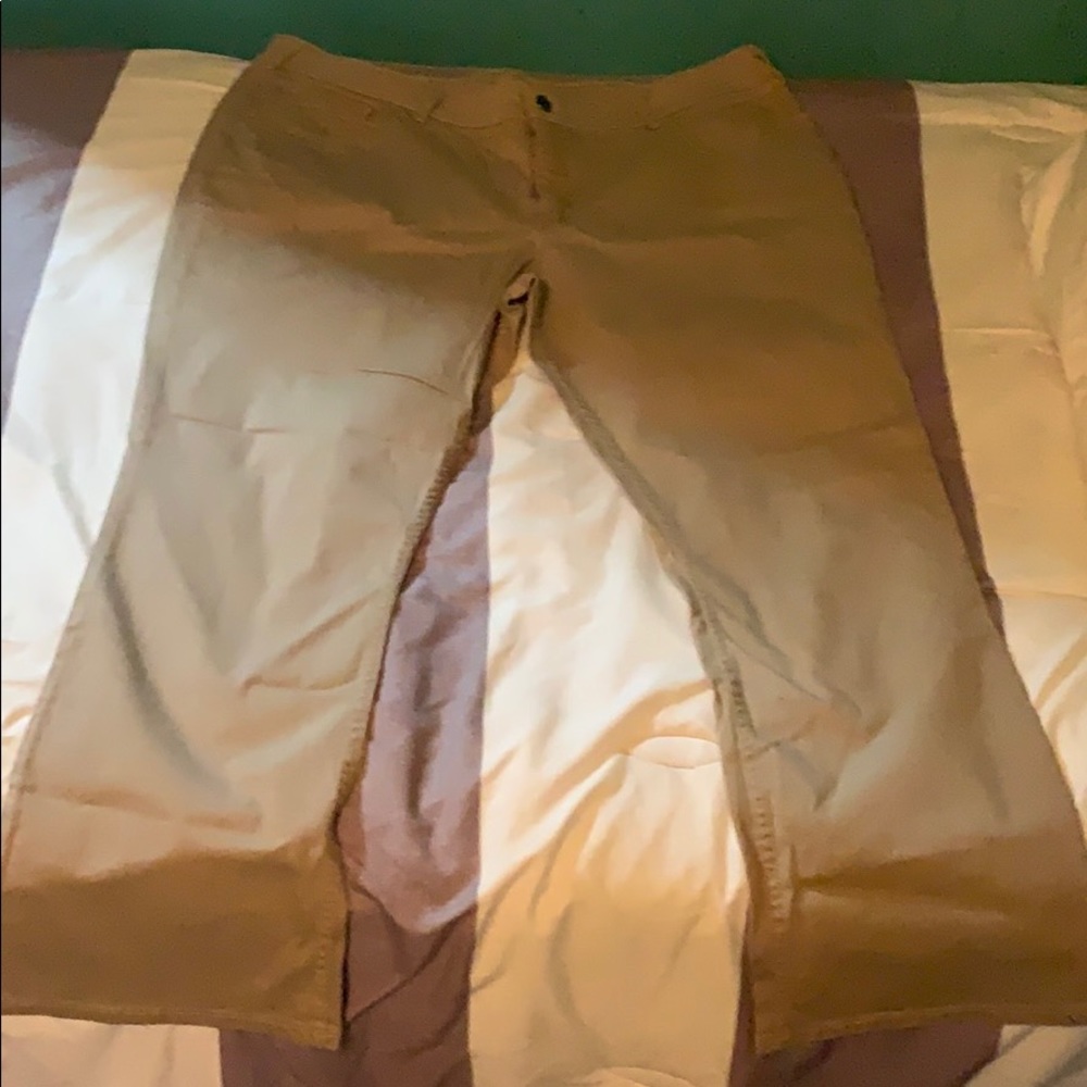 Tan plus size 24w pants